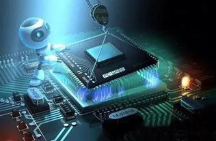 好大學與好專業 網絡科技領域如何明智選擇，拒絕盲目跟風